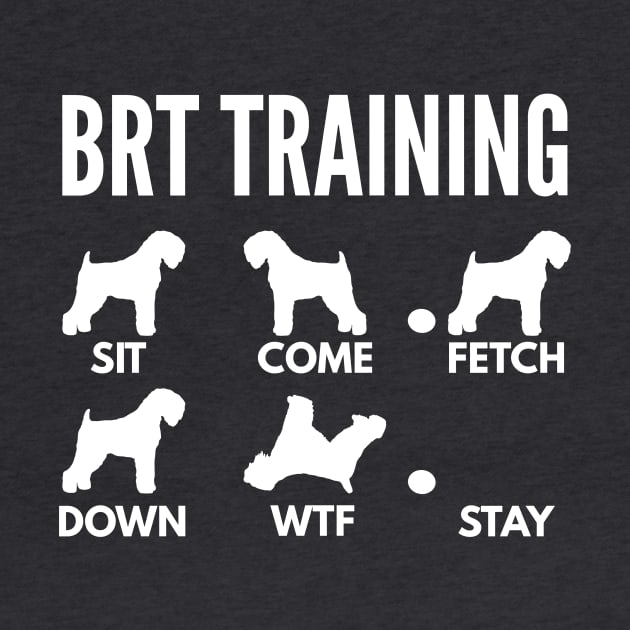 BRT Training Black Russian Terrier Dog Tricks by DoggyStyles